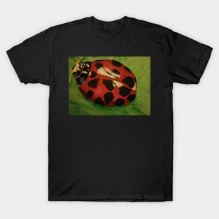 ladybug T-Shirt